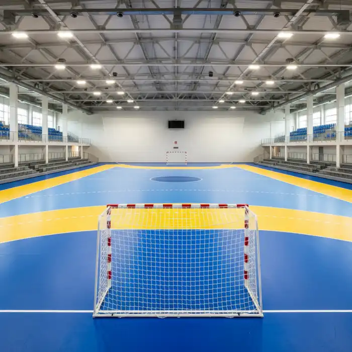 Boisko do piłki ręcznej: wymiary, linie pola bramkowego i standardy 12x27m